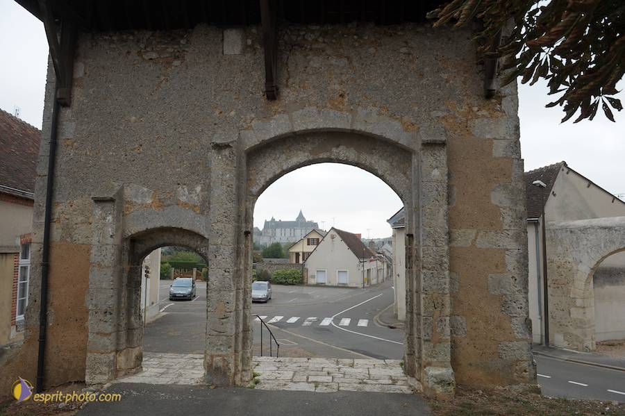 Nom de l'image : D30080499_1_(c)Norbert-JUNG — Description :